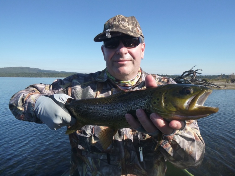 New Zealand cicada dry fly lake trout