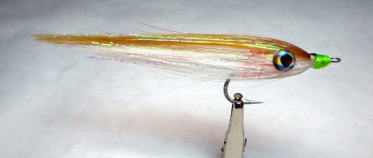 Hollow ghost.  Hoolow-fusuin tied on a EZ-Body spreader.

SBS: <a href="http://www.centralcoastflyrodders.com.au/fly-tying/fly-tying-dna-holo-ghost.htm">http://www.centralcoastflyrodders.com.au/fly-tying/fly-tying-dna-holo-ghost.htm</a>