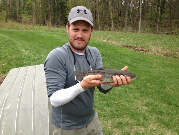 Michigan Rainbow Trout.