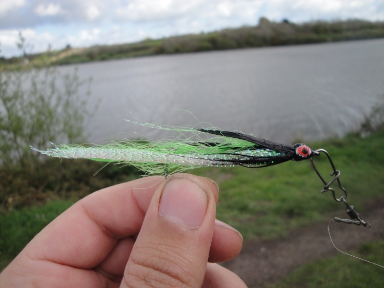 Fly of the day 27/4/2014