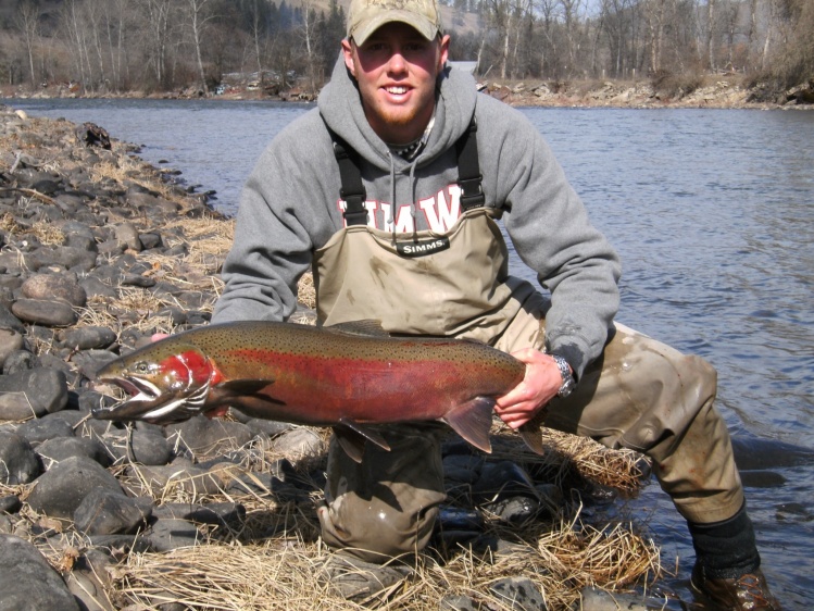 Dominant B-run buck on the Clearwater River Idaho