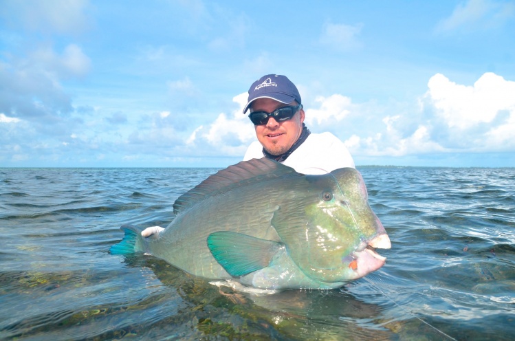 40 lb Bumphead from Farquhar Atoll