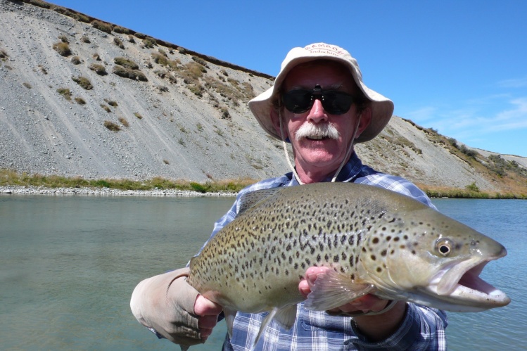 Summer dry fly brown
