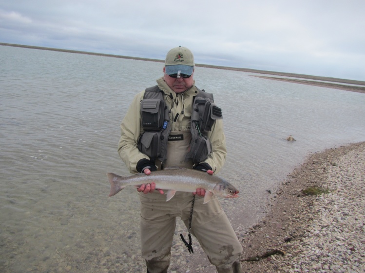 First Silver Phase Arctic Char