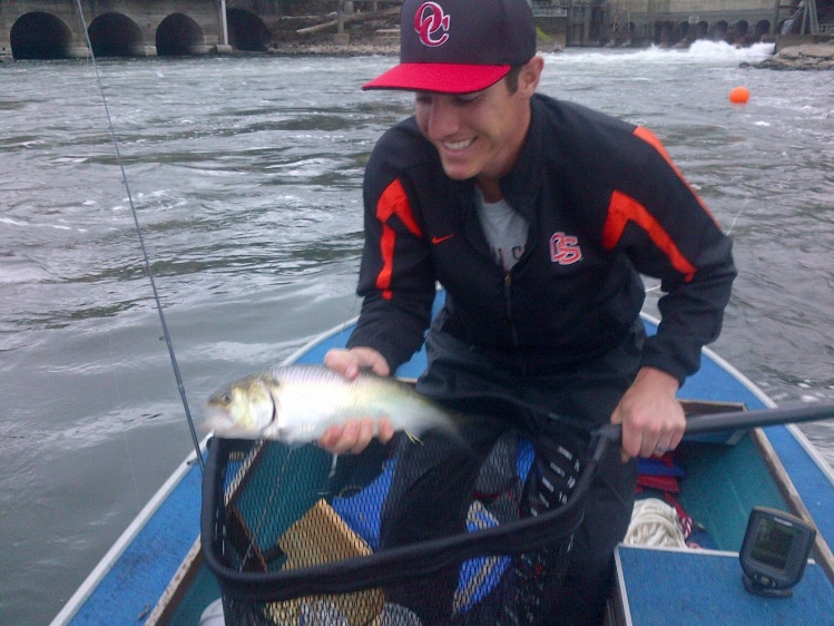 Willamette Shad on the fly