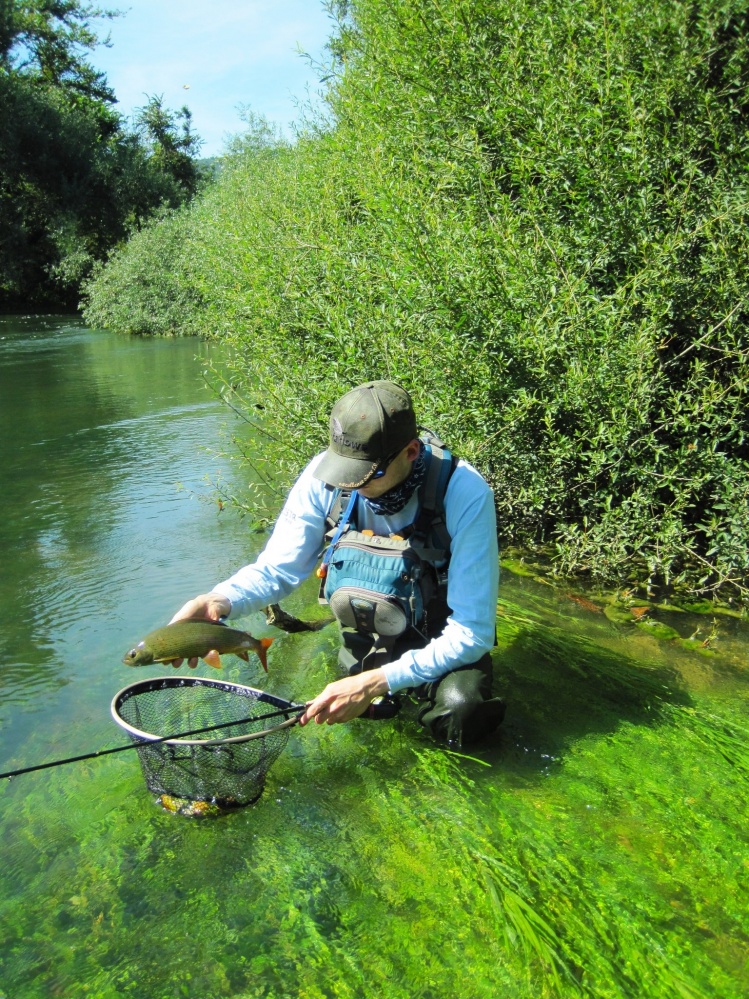 Andy's first Slovenian grayling