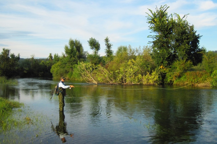 Andy in dry fly section