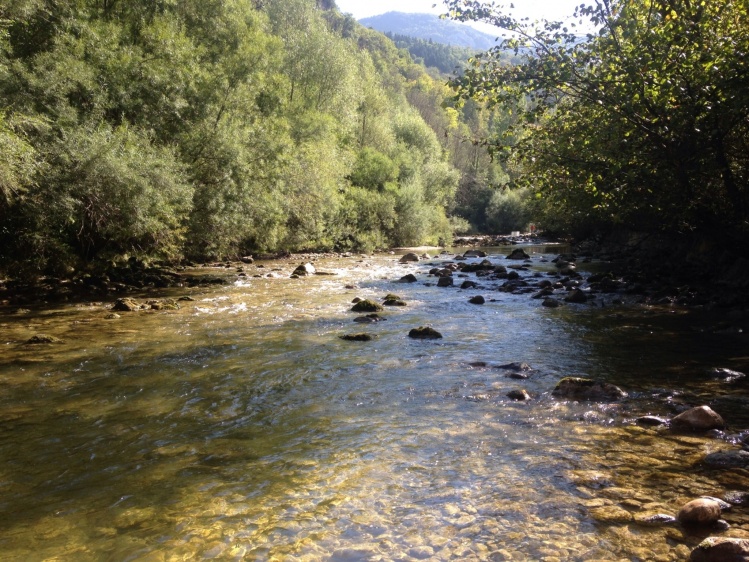 The Tacon River