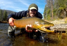 Brett Macalady 's Fly-fishing Pic of a Brown trout – Fly dreamers 