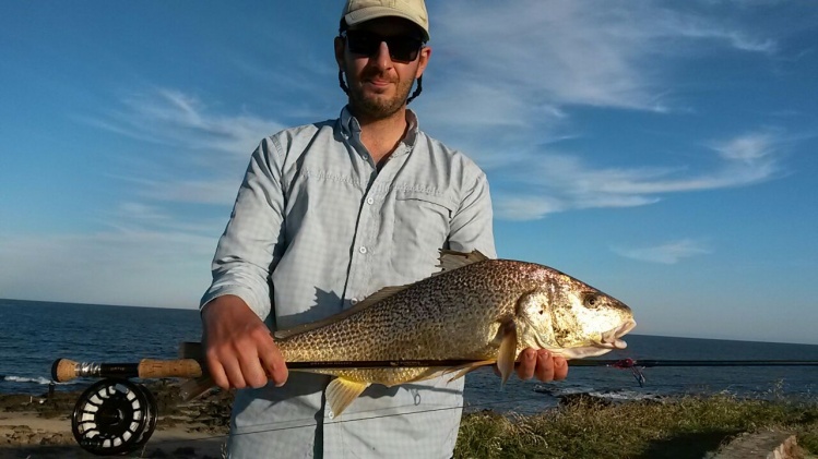 Corvina blanca de principio de temporada!