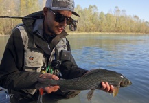 Fly-fishing Image of Grayling shared by Marco Vigano – Fly dreamers