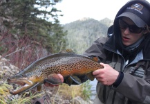 Jeremy Clark 's Fly-fishing Photo of a Brown trout – Fly dreamers 