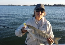 Jessica Strickland 's Fly-fishing Picture of a Striper – Fly dreamers 