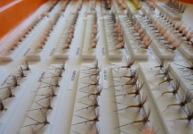  Una Interesante foto de atado de moscas por Juan Cuesta Velasco