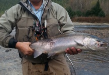 Coho salmon Fly-fishing Situation – Paul Reinhardt shared this () Image in Fly dreamers 