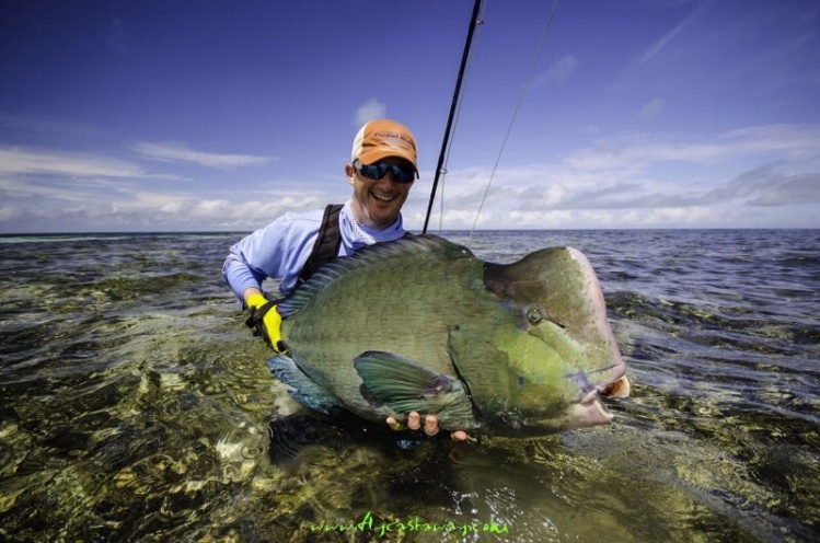 Bump head Parrotfish, Farquhar Atoll, Seychelles