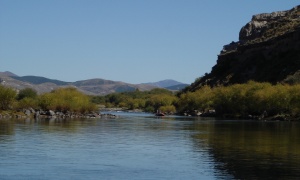 Rio Chimehuin, Junin de los Andes , Neuquen , Argentina