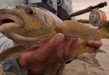Mario Smit 's Fly-fishing Catch of a Yellowfish – Fly dreamers 