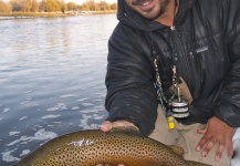 Fly-fishing Photo of Brown trout shared by Scott Smith – Fly dreamers 