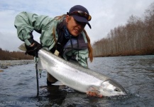 Fly-fishing Picture of Steelhead shared by Jeff Brazda – Fly dreamers