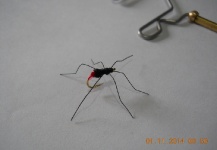  Una Excelente foto de atado de moscas por Heriberto Juan Dell''Oro