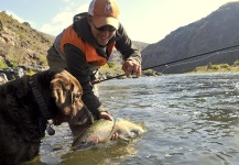 Fly-fishing Image of Steelhead shared by Scientific Anglers – Fly dreamers