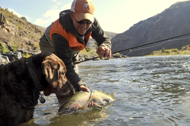 Fish and Dogs in the Pacific Northwest