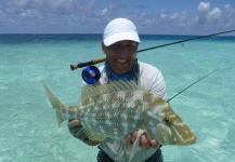 Fly-fishing Photo of Mangrove Snapper - Gray Snapper shared by Jean Baptiste Vidal – Fly dreamers 