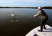 Tarpon Fly-fishing Situation – Ned Small shared this Interesting Image in Fly dreamers 