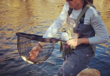  Foto de Pesca con Mosca de Trucha marrón por Jessica Strickland – Fly dreamers 