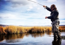 Fly-fishing Situation of Rainbow trout - Photo shared by Jessica Strickland – Fly dreamers 