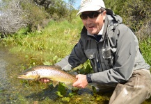 Ricardo Muller 's Fly-fishing Picture of a Brown trout – Fly dreamers 