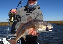 Fly-fishing Photo of Redfish shared by Jack Denny – Fly dreamers 