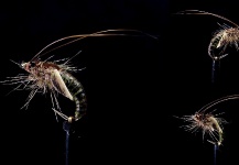  Mira esta Interesante fotografía de atado de moscas de Thomas Grubert