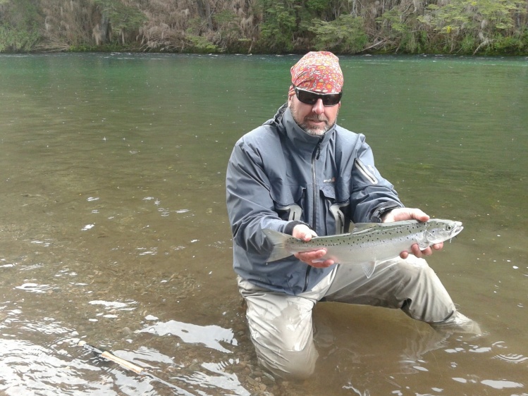 Un salmon encerrado ( Salar )