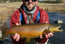 Fly-fishing Photo of Brown trout shared by Scott Robertson – Fly dreamers 