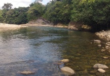 rio de piedemonte andino Venezuela