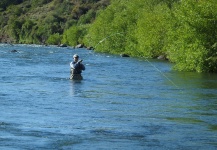 Interesting Fly-fishing Situation of Rainbow trout - Image shared by Daniel Fernandez Bernis – Fly dreamers