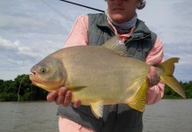 Alejandro Ballve 's Fly-fishing Photo of a Pacu – Fly dreamers 