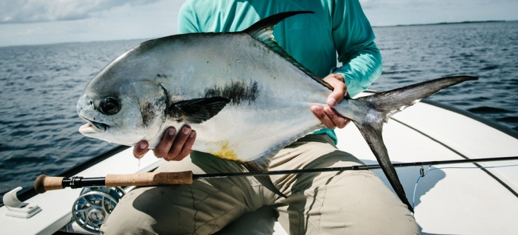 Another great Permit shot courtesy of Noah Rosenthal and the Solar 10wt.  Turneffe Flats, Belize.