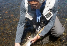 Fly-fishing Picture of Rainbow trout shared by Rudesindo Fariña – Fly dreamers