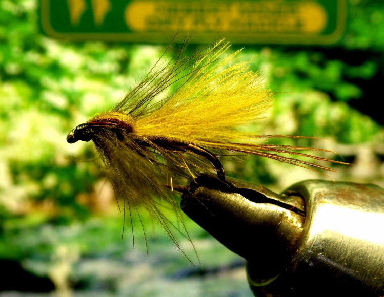 CDC MAY FLY EMERGER