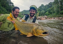 Damien Brouste 's Fly-fishing Catch of a Golden Dorado – Fly dreamers 