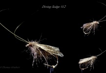  Mira esta fotografía de atado de moscas de Thomas Grubert – Fly dreamers
