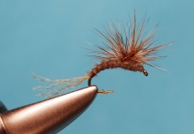 Great Fly-tying Pic shared by Jimbo Busse 