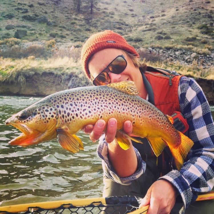 Gorgeous Truckee river brown