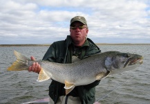  Fotografía de Pesca con Mosca de Trucha de lago compartida por Matt Wilder – Fly dreamers