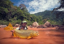  Imagen de Pesca con Mosca de Dorado compartida por Damien Brouste – Fly dreamers