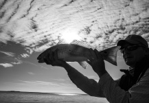 Dan Frasier 's Fly-fishing Image of a Redfish – Fly dreamers 