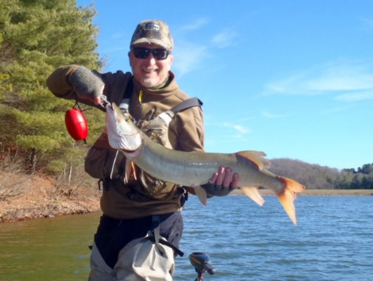 Yet another victim of Bill Sherer's awesome Figure 8 musky fly!